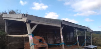 Call To Replace Storm-Damaged Welsh Wildlife Centre Building wildlife centre existing