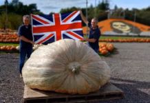Giant Pumpkin Smashes Two Guinness World Records Titles And Ozzy Osbourne Tribute Scoops A Record Too 138e770adfdc67f386ac63cf98eef61ba62f04e1