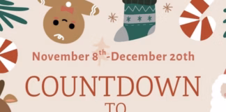 Count Down To Christmas – New Christmas Market At The Waterfront Gallery, Milford Haven christmas market visual