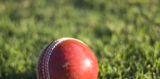 Second Cricket Pitch cricket ball