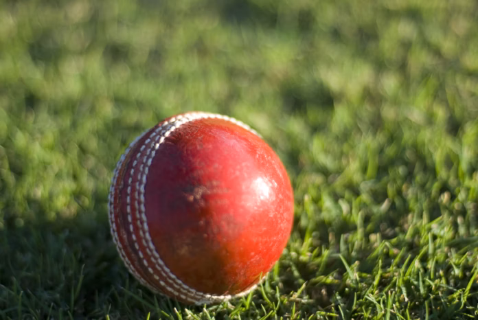 cricket ball