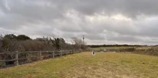 Retrospective Horse Manege Approval By National Park east nolton 2 pcnp