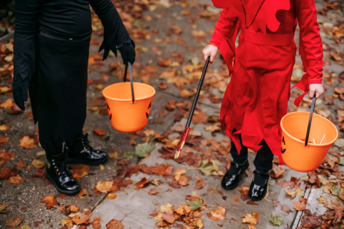 pexels charles parker 5859555 (1)