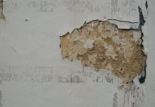 Landlords Warned: No Excuses As Awaab’s Law Comes Into Force photo 1727200473258 9b80e872aed8