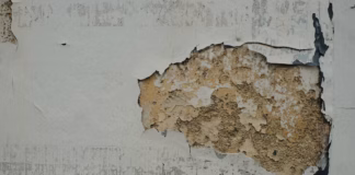 Landlords Warned: No Excuses As Awaab’s Law Comes Into Force photo 1727200473258 9b80e872aed8