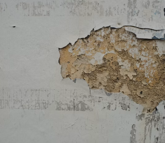 Landlords Warned: No Excuses As Awaab’s Law Comes Into Force photo 1727200473258 9b80e872aed8