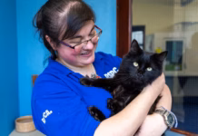 Cat Crisis: Urgent Adoptober Plea As Record 1,700 Cats In RSPCA Care tommy