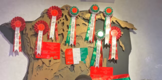 Father and son butchers to officially open the Royal Welsh Winter Fair RWAS Edwards of Conwy pic