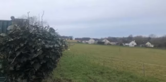 Refusal Of 50 Homes Scheme gibbas 1