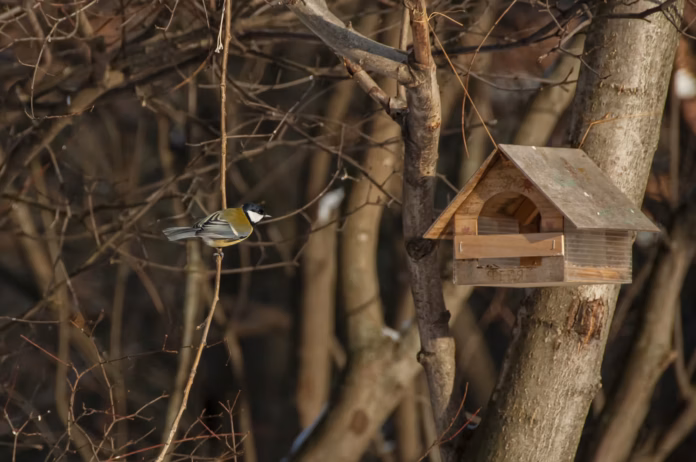 38c0dbda 8492 4659 85e5 83081890f11c