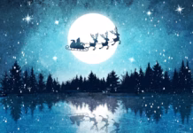 This Christmas Even Santa Is Rethinking His Carbon Footprint santa 7667744 1280