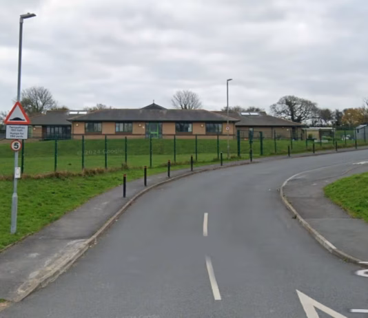 Stepaside School Plea stepaside school g s