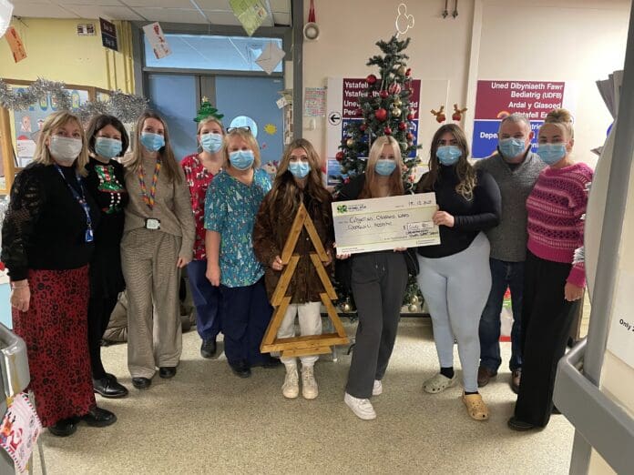 Carmarthenshire Youth Service Presentation Photo