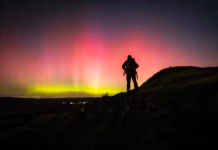Stars align for Dafydd as astro tourism business celebrates busy first year dafydd and his aurora borealis 54003011943 o