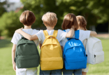 Consultation begins on school catchment areas and transport in Carmarthenshire newsroom 1