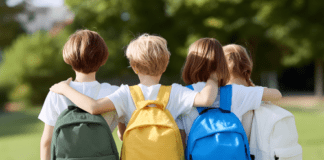 Consultation begins on school catchment areas and transport in Carmarthenshire newsroom 1