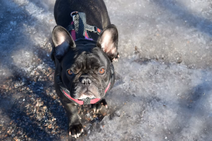 photo 1562184012 1dbf479c4927