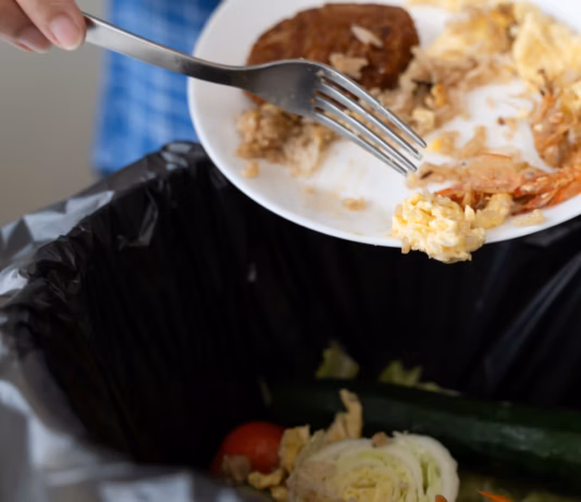 Food Hygiene Training Experts Reveal 10 Top Tips To Help You Reduce Food Waste At Home Food waste