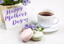 Sip, Savour And Celebrate Mum This Mother’s Day At Hensol Castle pexels george dolgikh 551816 2072170