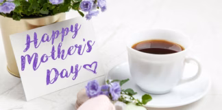 Sip, Savour And Celebrate Mum This Mother’s Day At Hensol Castle pexels george dolgikh 551816 2072170