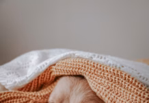 The Simple Mistake Of Sabotaging Your Pet’s Sleep photo 1601880348117 25c1127a95df