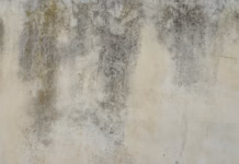 Expert On How To Stop Damp Before It Takes Hold And Destroys Your Home premium photo 1675876354913 cc22bd0850fc