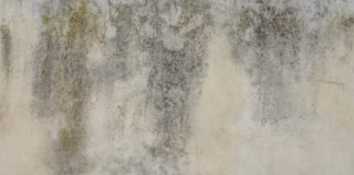 Expert On How To Stop Damp Before It Takes Hold And Destroys Your Home premium photo 1675876354913 cc22bd0850fc
