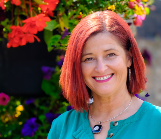 Plaid Cymru targets better bus links between Gwendraeth Valley and Llanelli Mari Arthur