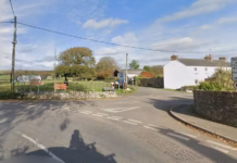 Horse Arena A “No-Go” lamphey g s