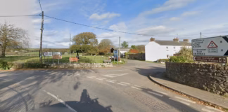 Horse Arena A “No-Go” lamphey g s