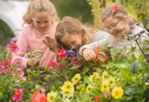 Centre for Alternative Technology to host free Spring Open Day on May 23 CAT Family activities