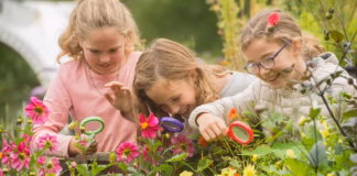 Centre for Alternative Technology to host free Spring Open Day on May 23 CAT Family activities