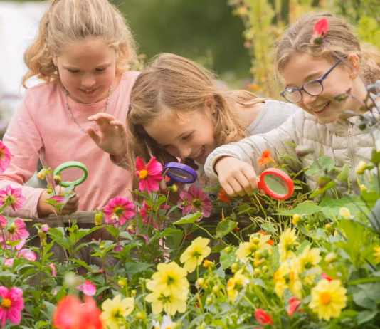 Centre for Alternative Technology to host free Spring Open Day on May 23 CAT Family activities