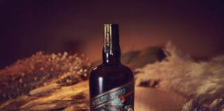 In The Welsh Wind Distillery strikes gold at World Gin Awards 2026 Palo Cortado Lifestyle 1