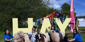 Drovers return to Hay-on-Wye for Royal Welsh Show launch Sheep at Hay Festival