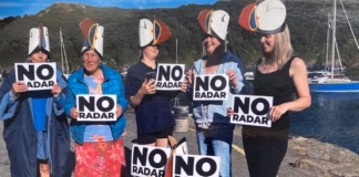 Call For Space Radar Scheme To Be “Called-In” space radar call in
