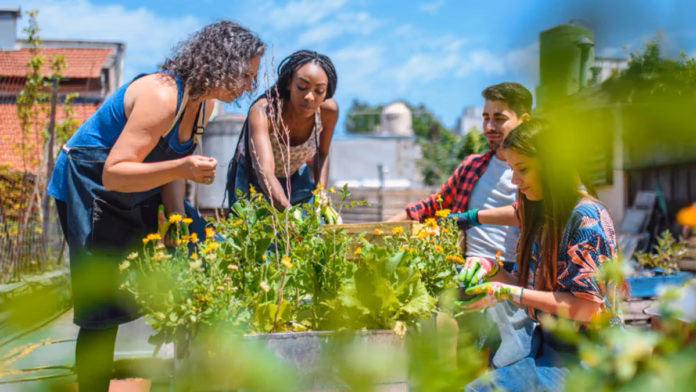CMF Green Spaces PR cropped