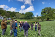Turn your group’s idea into action with new Farming Connect funding opportunity Our Farms Discussion Group Projects