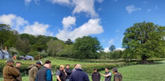 Turn your group’s idea into action with new Farming Connect funding opportunity Our Farms Discussion Group Projects