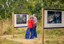 Two major international exhibitions open at The Rodd this summer Sidney Nolan Trust Earth Prize