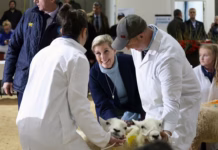 The Duchess of Edinburgh to visit this year’s Royal Welsh Show The Duchess of Edinburgh