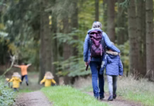 Welsh nature trail ranks in UK’s top ten most accessible juliane liebermann Pw7i YVg5uM unsplash