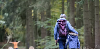 Welsh nature trail ranks in UK’s top ten most accessible juliane liebermann Pw7i YVg5uM unsplash