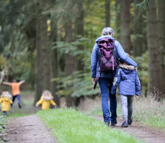 Welsh nature trail ranks in UK’s top ten most accessible juliane liebermann Pw7i YVg5uM unsplash