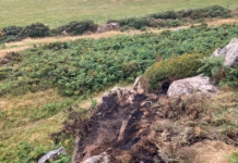 Tan gwyllt wedi’i osgoi o drwch blewyn ger Bryniau Preseli 754462686 977848941950647 8428467878013415596 n
