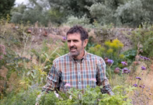 Horticulture Village returns with packed programme for Royal Welsh Show Adam Frost