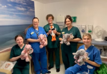 NHS charity funds soft toys to help children and young people understand bereavement Bereavement soft toys