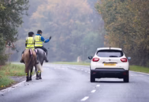 Highway Code awareness for horses takes centre stage at Royal Welsh Show Car Passing Riders Slowly
