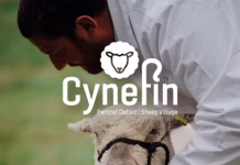 New Cynefin sheep village set to be a major Royal Welsh Show attraction RWAS Cynefin pic