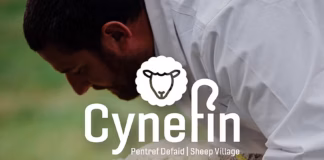 New Cynefin sheep village set to be a major Royal Welsh Show attraction RWAS Cynefin pic